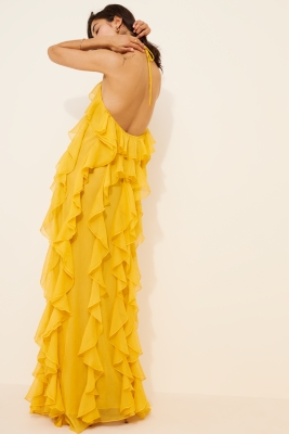 Liora Sheer Maxi Dress