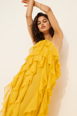 Liora Sheer Maxi Dress