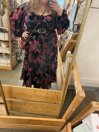 Velvet Burnout Midi Dress | Nuuly