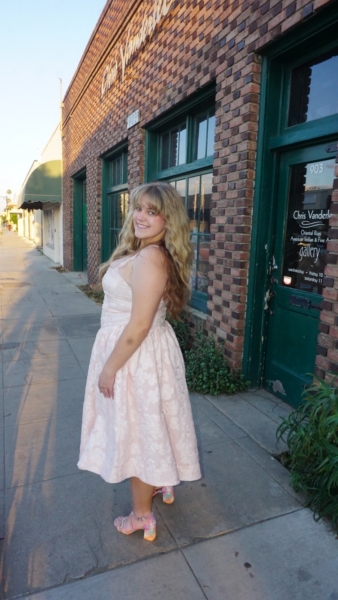 sachin and babi light blue dress Becca Wrap Ruffle Dress in Pink