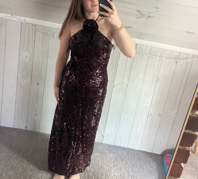 Stacey Sequin Maxi Dress | Nuuly