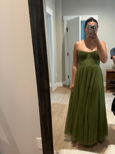 Amara Corset Pleated Tulle Fit & Flare Midi Dress | Nuuly