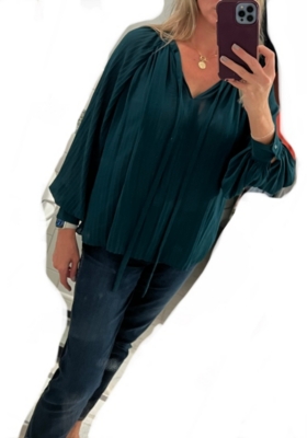 Pleated Chiffon Blouse Nuuly