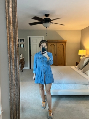 Nicole Denim Shirt Dress Nuuly