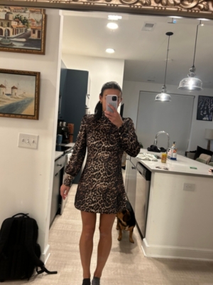 Frame leopard dress best sale