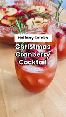 https://s7d2.scene7.com/is/image/retailbusiness/ChristmasCranberryPunchJ?$1080x1920-SFC$