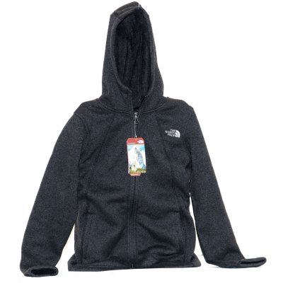 the north face women's crescent parka