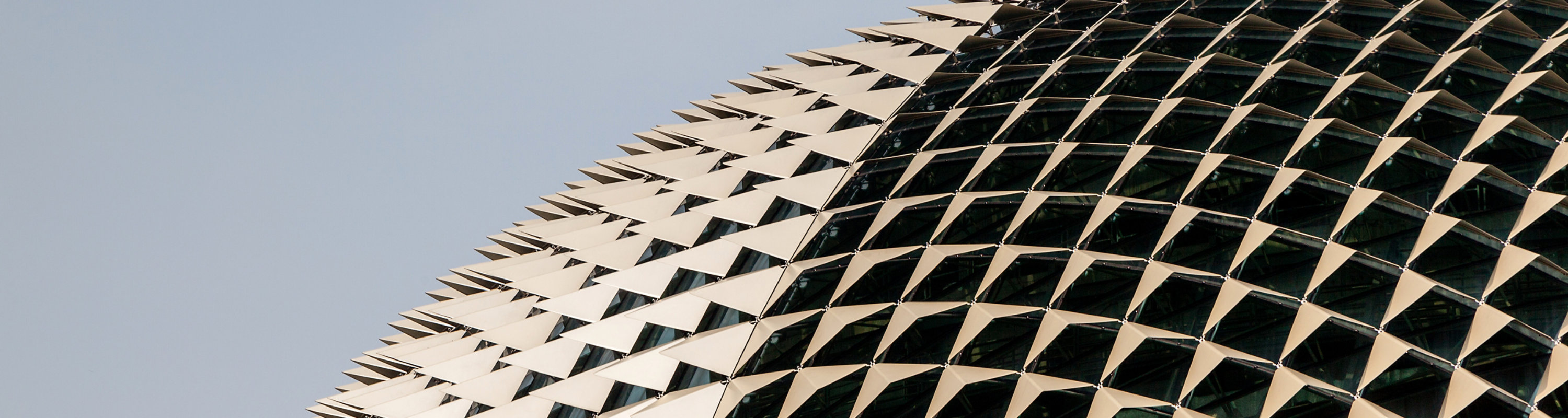 Precious Pyrite Color on building