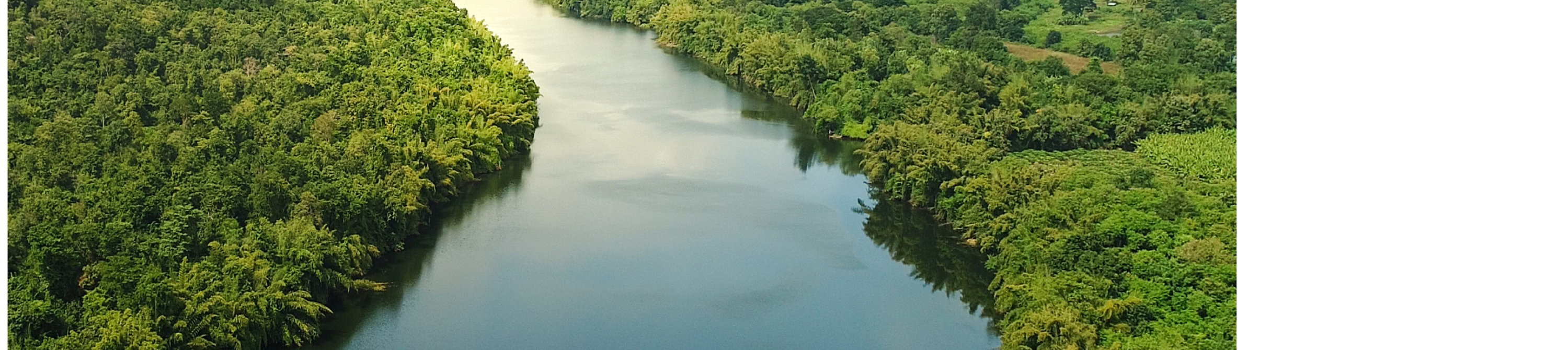 Presença ambiental
