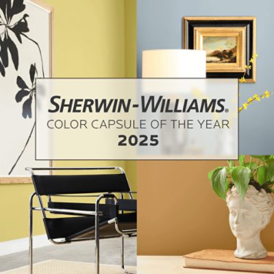 Sherwin-Williams Color Capsule of the Year 2025.