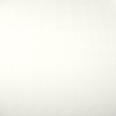 Regal White (391A877, Fluropon Sample, Extrusion)