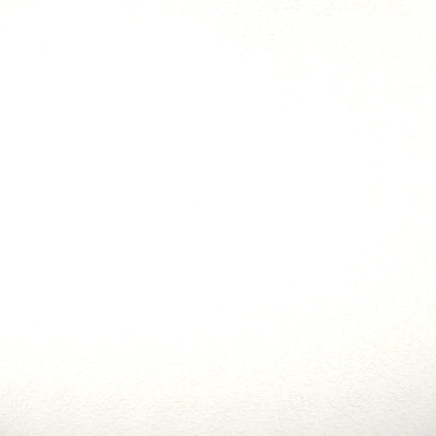 Special Snow White  (391B8213, Fluropon Sample, Extrusion)