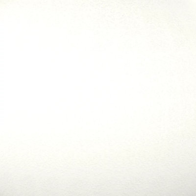 Special Ultra Pure White (391B8987, Fluropon Sample, Extrusion)