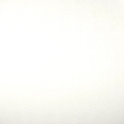 SW 7005 Pure White (391C0739, Fluropon Sample, Extrusion)
