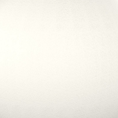 Special Bone White (391X035, Fluropon Sample, Extrusion)