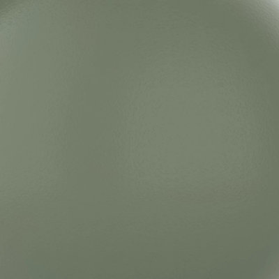 Fluropon L/G Green Zinc (395C2004, Fluropon Sample, Extrusion)