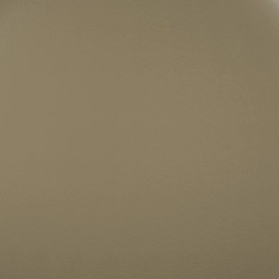 Twig (397A9822, Fluropon Sample, Extrusion)
