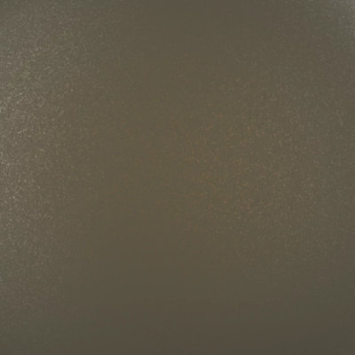 L/G Dark Bronze Gold (399C8888, Fluropon Classic II Sample, Extrusion)