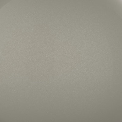 Anew Silver (399Q0033)