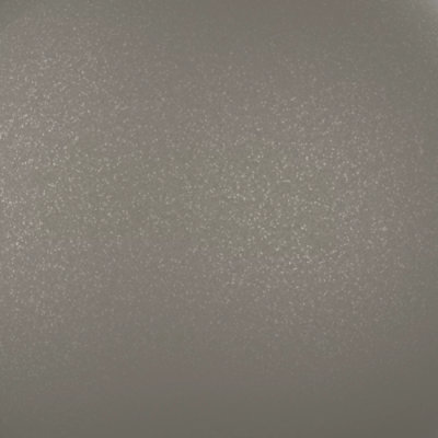 Fossilized (399Q0041)