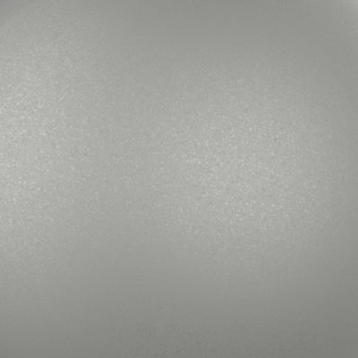 Silver Salmon (399Q0103)