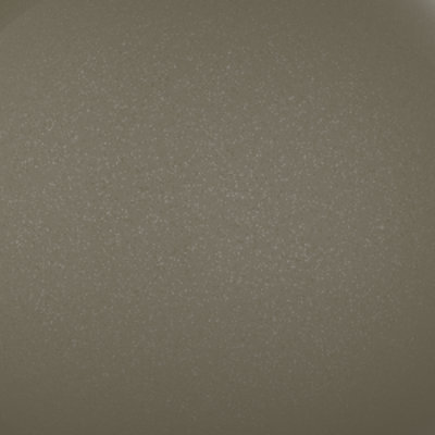 Petrified Life (399Q0111)