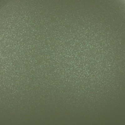 Lively Lichen (399Q0118)