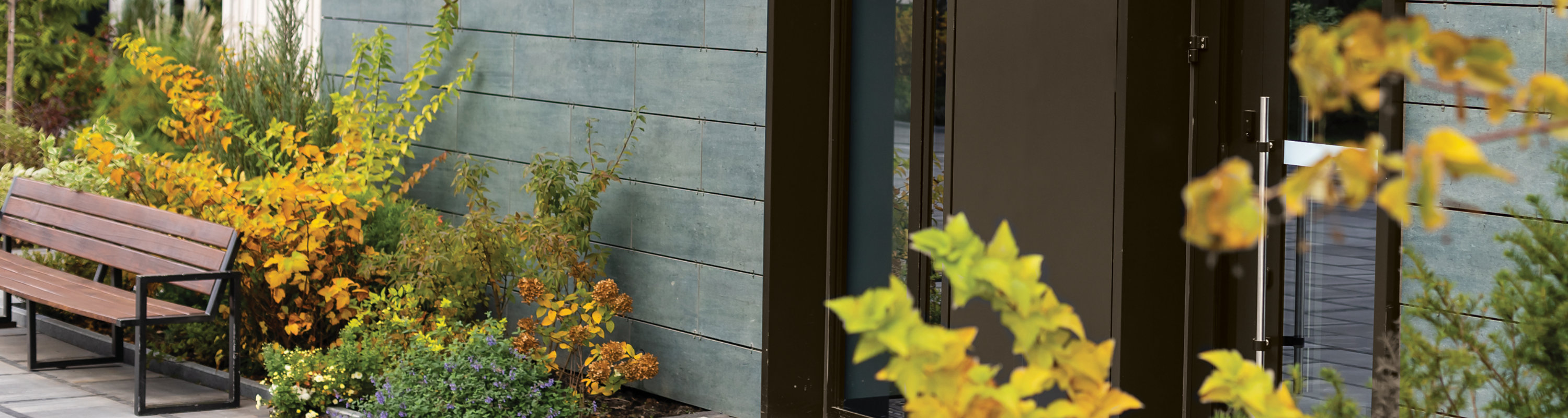 Bronze door color on building