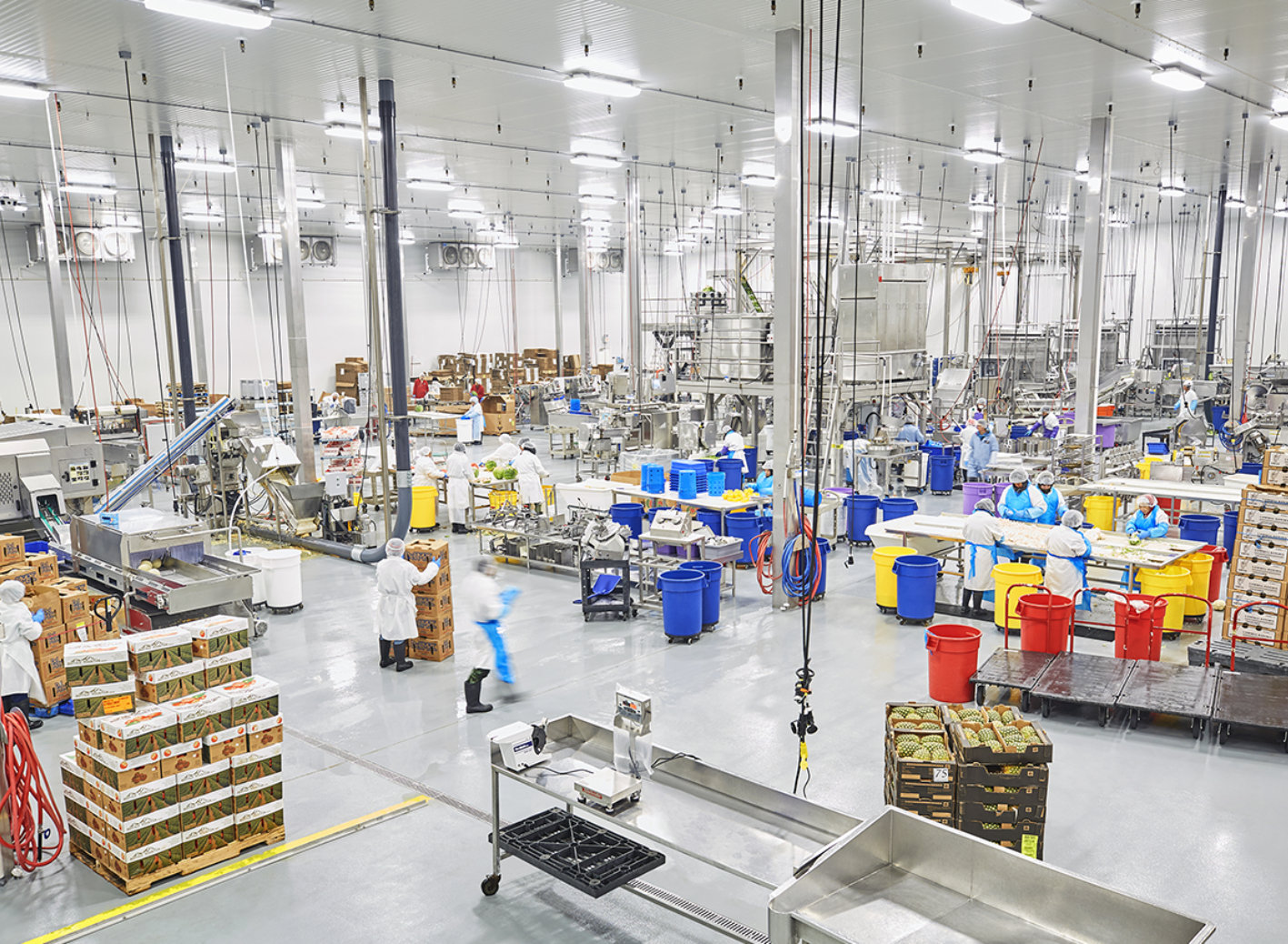 Resin floor in food processing facility