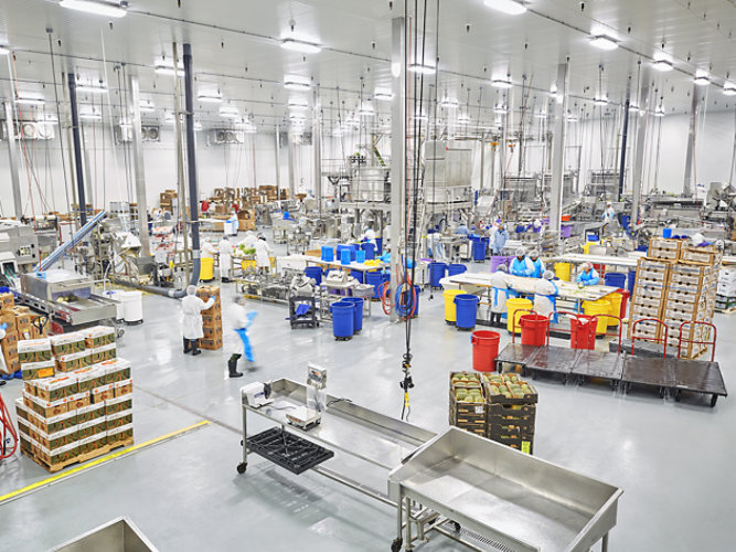 manufacturing-facility-with-optimal-protective-coatings