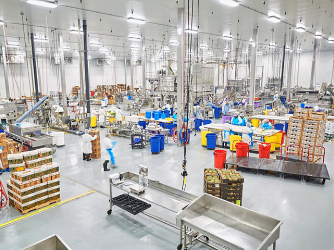 food processing facility interior