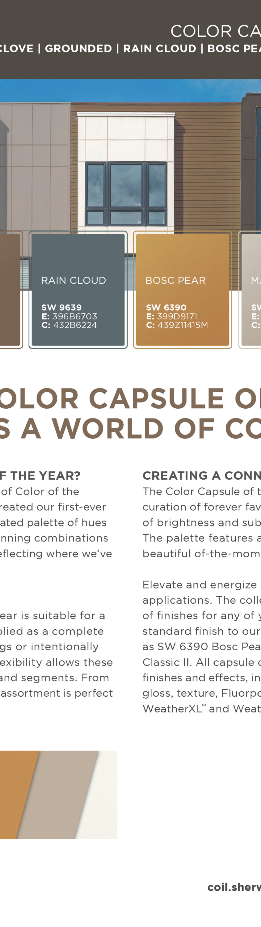 color capsule of the year 2025