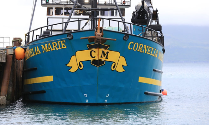 The Cornelia Marie