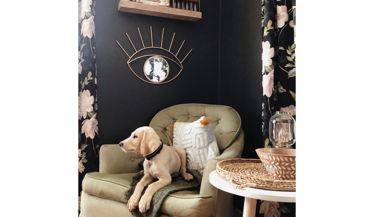 @thriftingdecorandmore