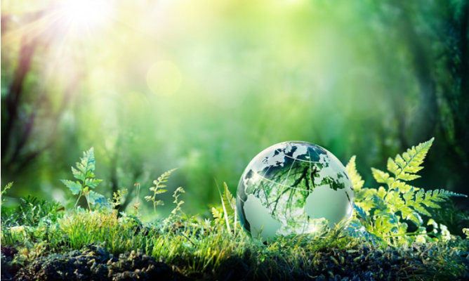 A forest floor with a globe sitting next to plants