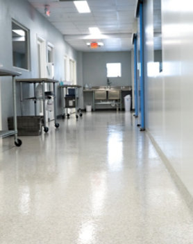 Decorative flake flooring in pharma setting