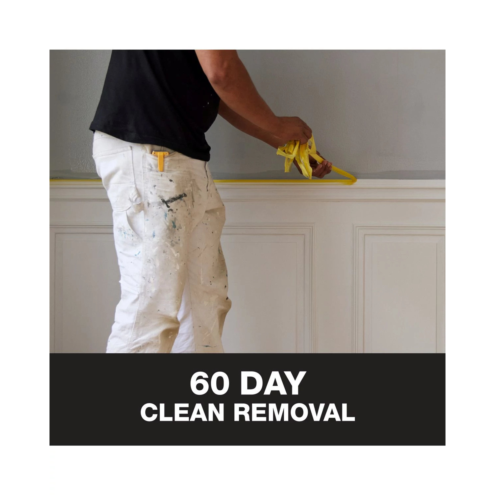 FrogTape Delicate Surface Painter's Tape SherwinWilliams