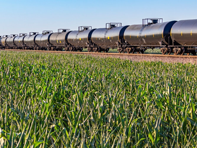 train next to a grain field