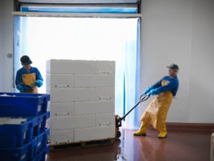 Loading Dock Flooring