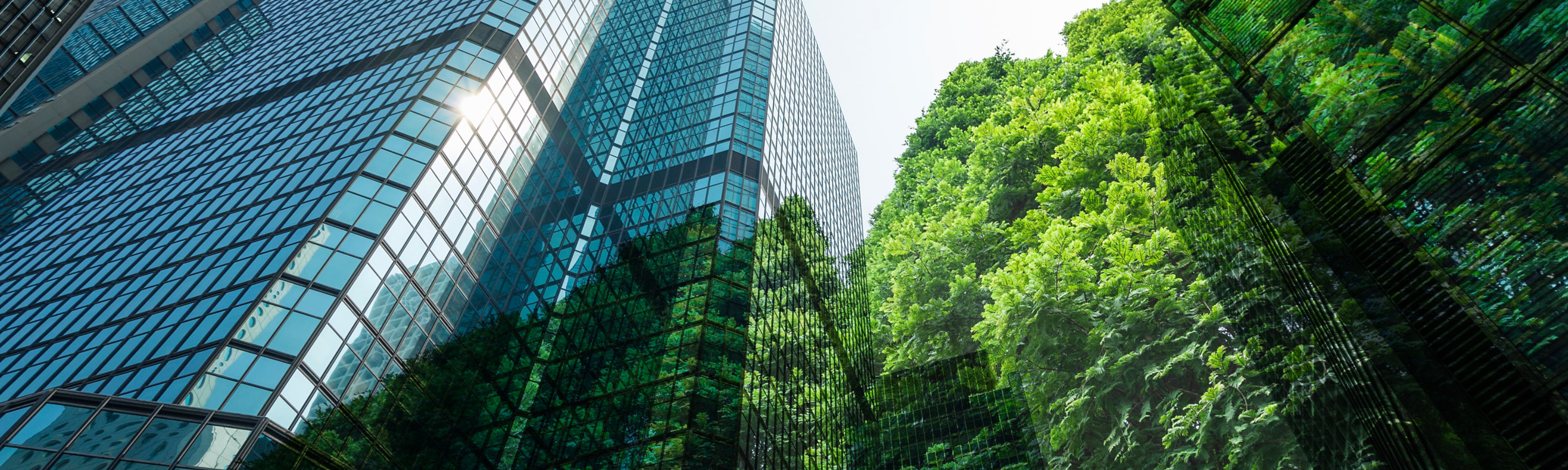 Green trees and office buildings,Recyclable concept.