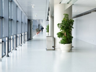 Dispensary Flooring