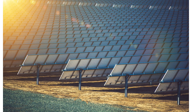 A field of solar panels