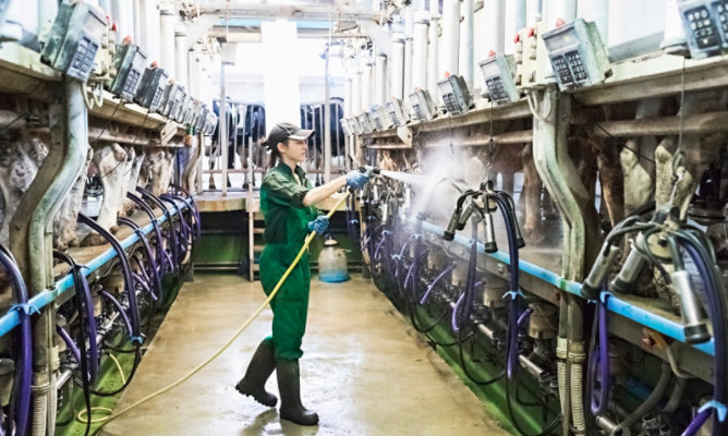 hosing down slaughterhouse equipment