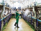 factory worker taking note of food prep