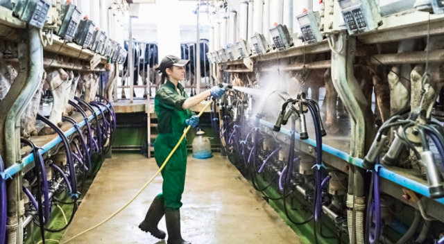 hosing down slaughterhouse equipment