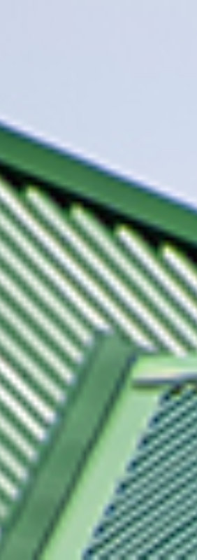 Green metal roof