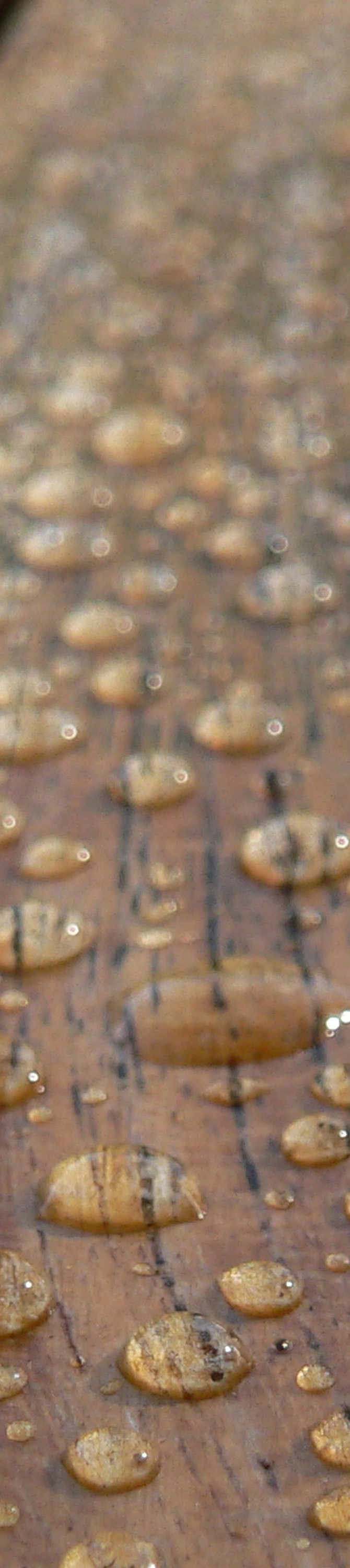 wood with beading water
