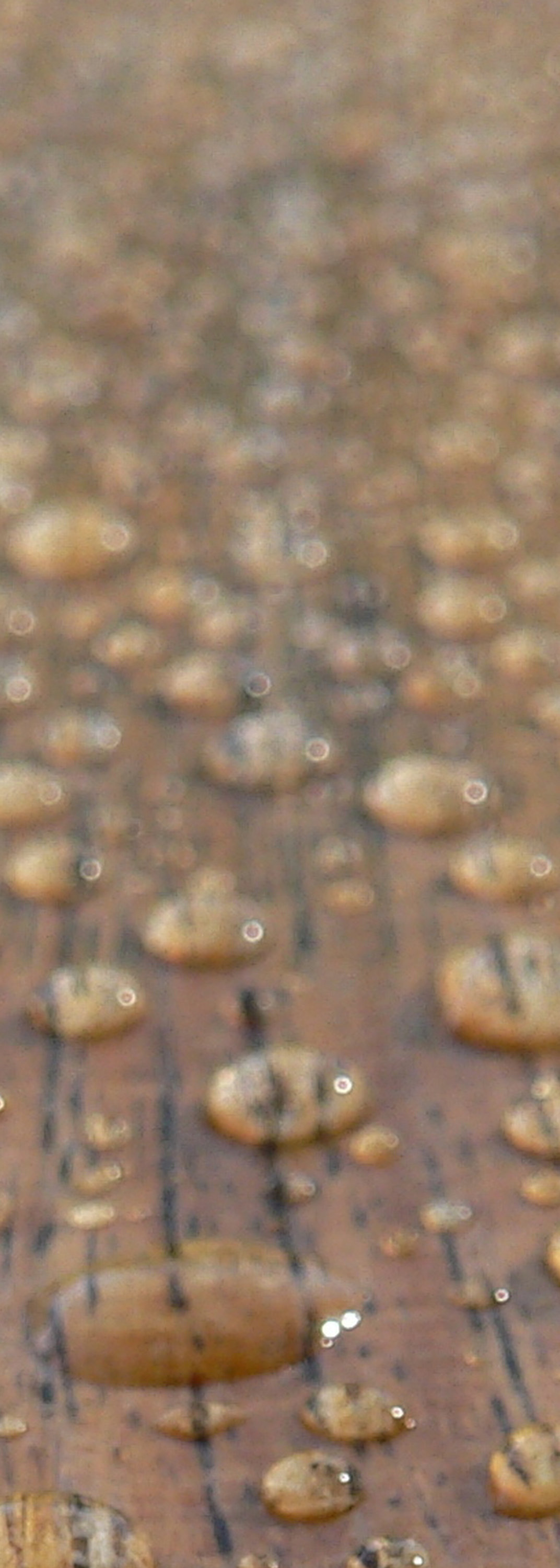 Piso de exterior de madera con gotas de agua para demostrar su repelencia al agua