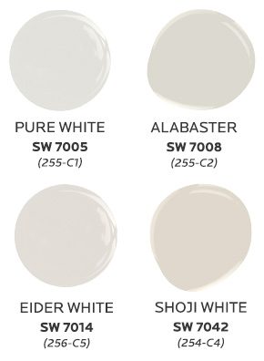 Classic Whites color palette colors. Pure White SW 7005 (255-C1), Alabaster SW 7008 (255-C2), Elder White SW 7014 (256-C5) and Shoji White SW 7042.