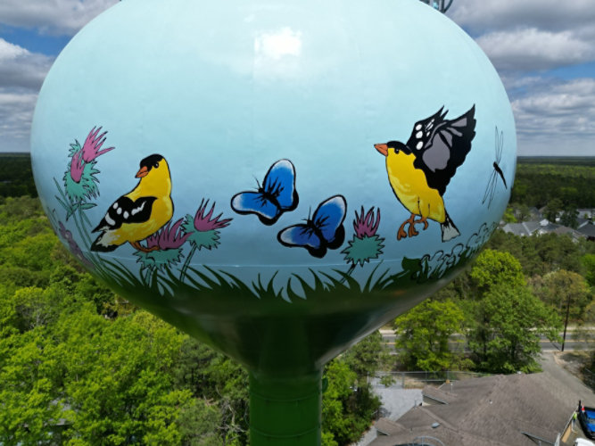water tower with birds and butterflies